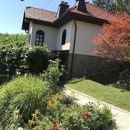 Wine & Nature & Tour Zgornji Leskovec Eksteriør bilde
