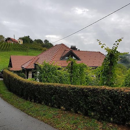 Wine & Nature & Tour Zgornji Leskovec Eksteriør bilde