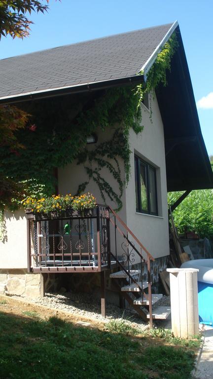 Wine & Nature & Tour Zgornji Leskovec Eksteriør bilde