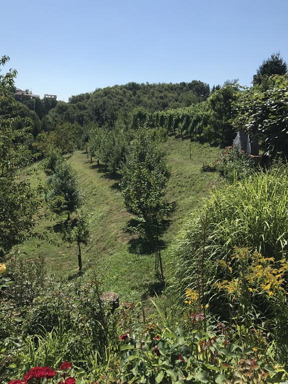 Wine & Nature & Tour Zgornji Leskovec Eksteriør bilde
