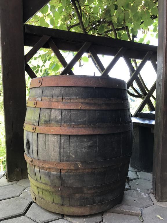 Wine & Nature & Tour Zgornji Leskovec Eksteriør bilde