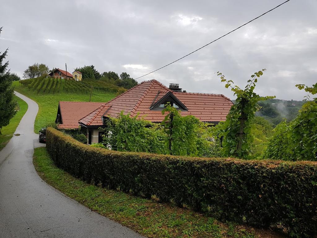 Wine & Nature & Tour Zgornji Leskovec Eksteriør bilde